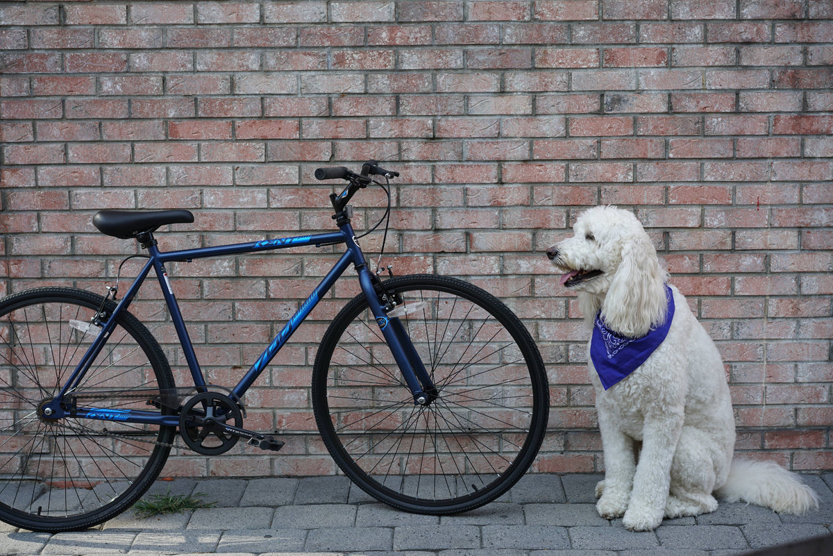 Blue 700c Fixie Bike X114031