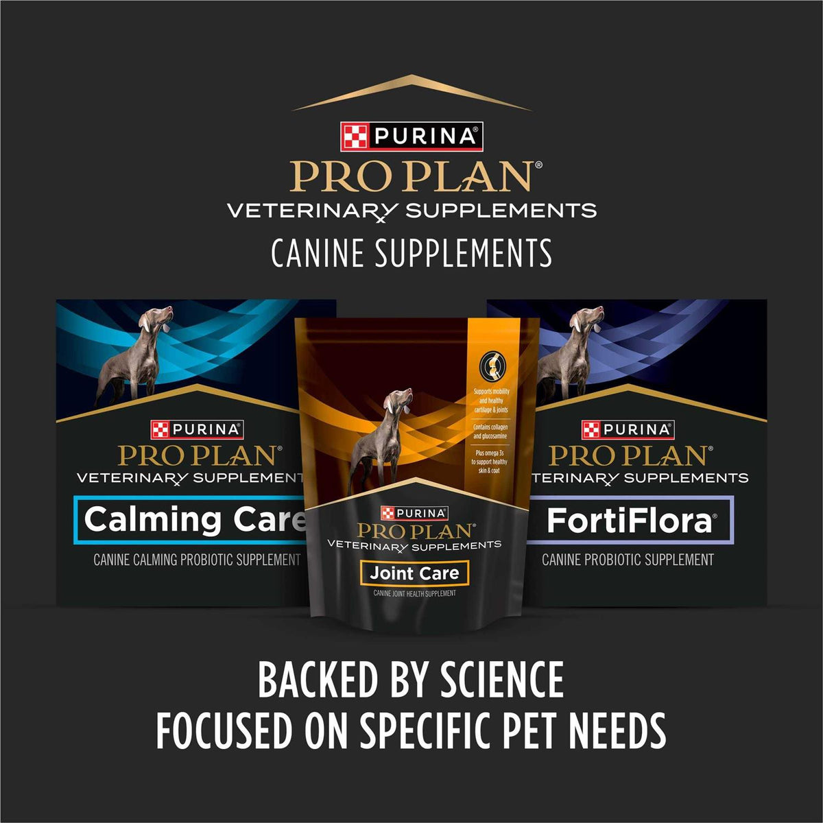 Joint Care Supplement I4473