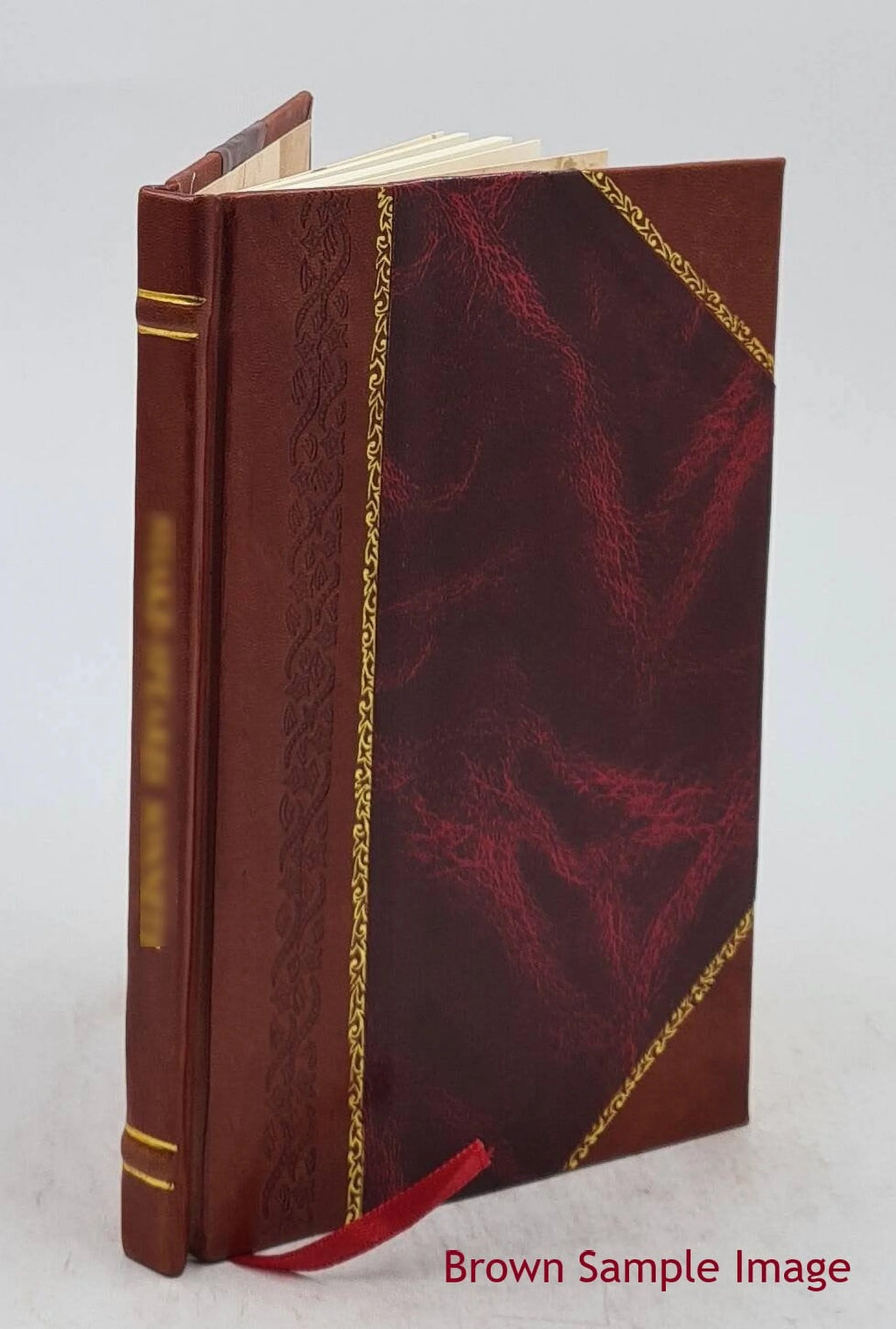 Leather Bound Volume 6 1903 I166