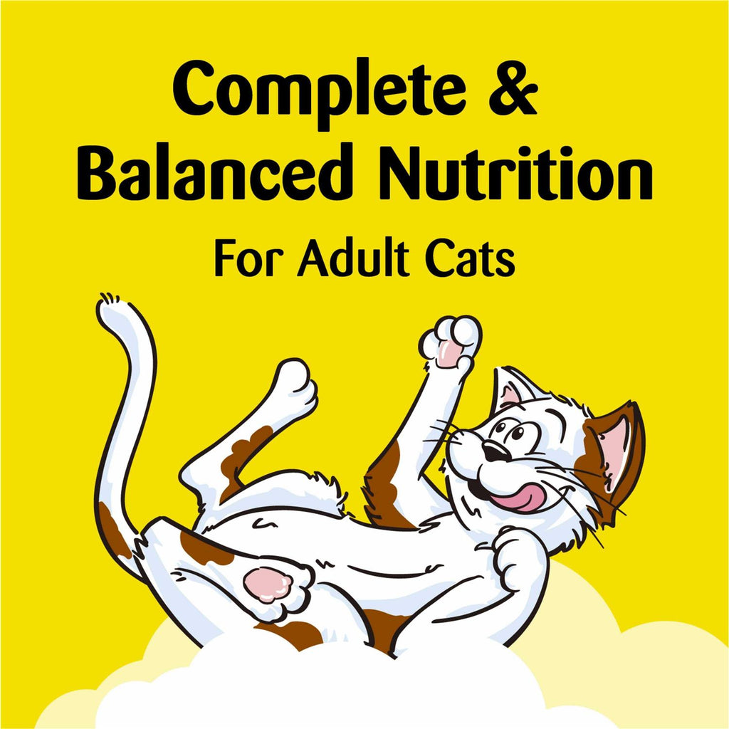 Chicken Flavor Crunchy and Soft Cat Treats R360