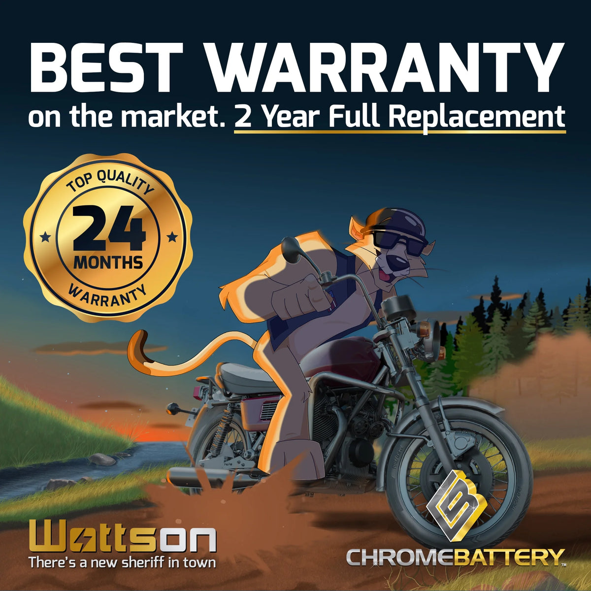 12 Volt 14 Ah 230 CCA ATV Battery N24278