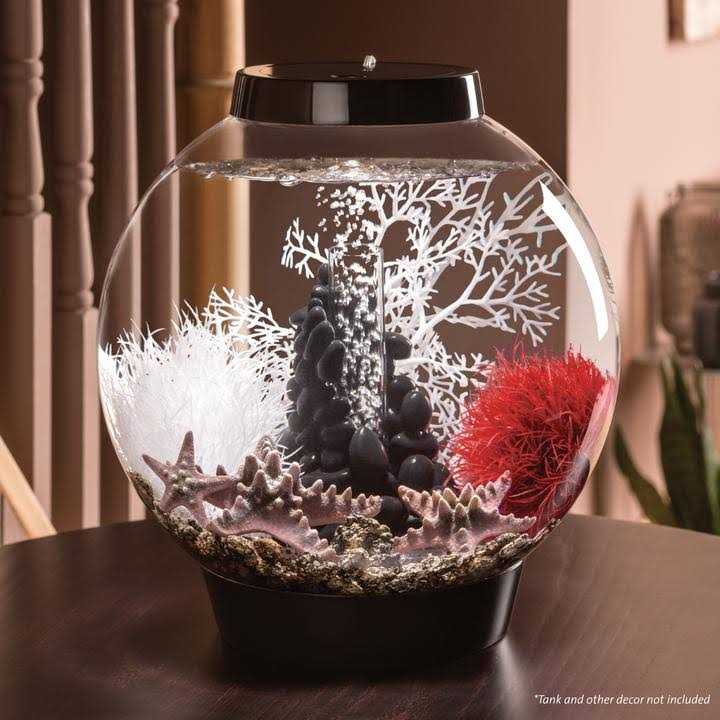 60 Aquarium with LED S839238