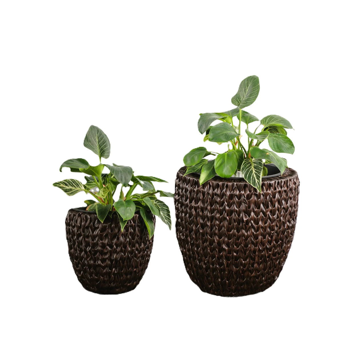 Set Of 2 Round All-Weather Wicker Planter With Plastic Liner M907290