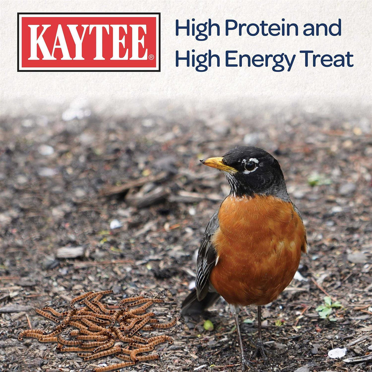 Mealworms Bird Food Y406126