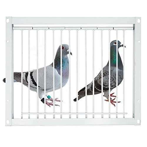 30cm One Way Entrance Bird Trap Door V3154