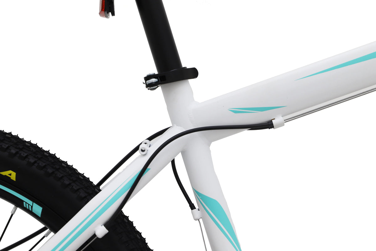 26 Inch 21 Speed Dual Disc Brakes Full Suspension Mountain Bike A9942