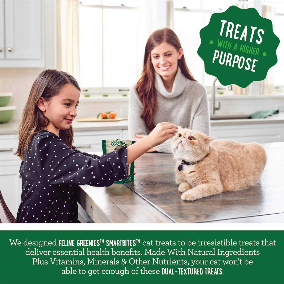 Salmon Dental Cat Treats N292
