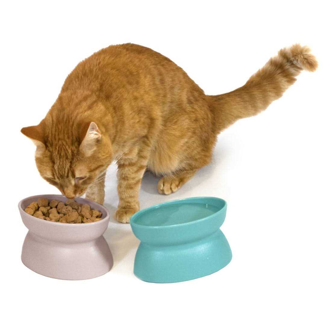 Raised Cat Food Bowl R139