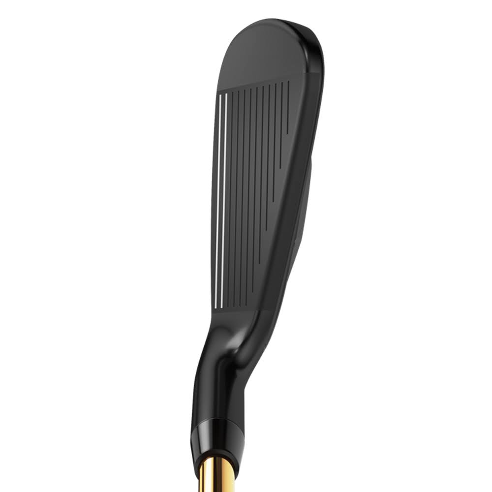 Graphite Individual Iron V146