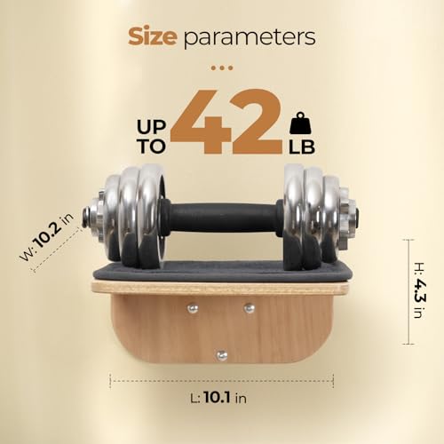 Cat Wall Shelves and Perch with Scratching Cushion T58285