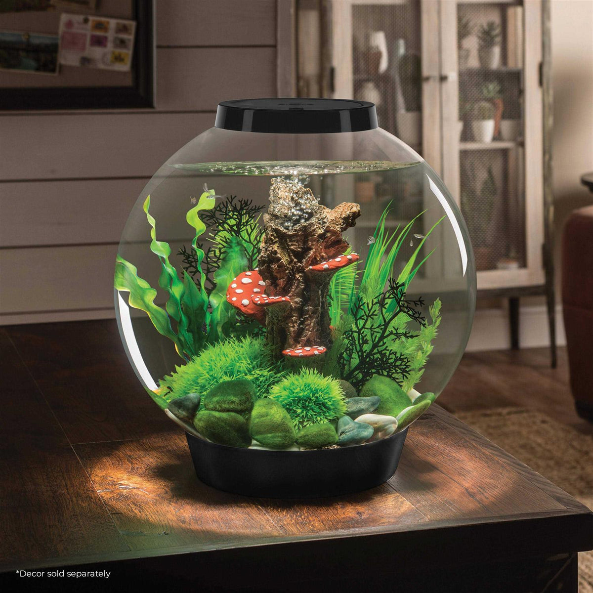 60 Aquarium with LED S839238