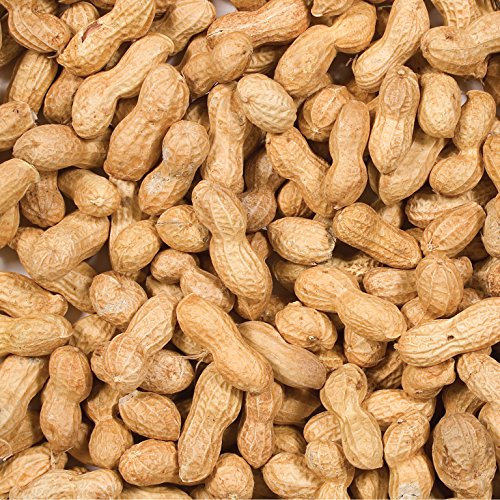 Inshell Peanuts 5 lb Q2024