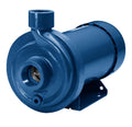 1 HP Cast Iron Centrifugal Pump T8252