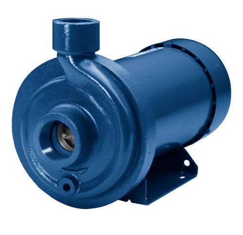 1 HP Cast Iron Centrifugal Pump T8252