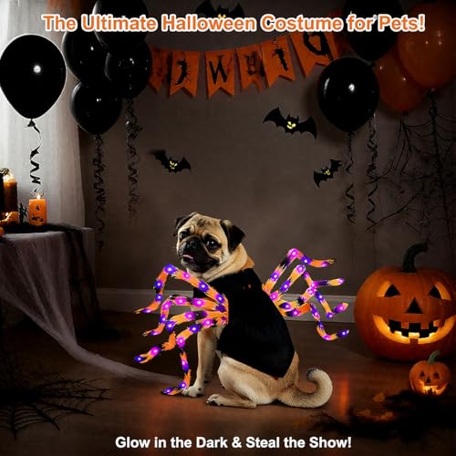 LED Spider Dog Halloween Costume with Multicolor Lights E571