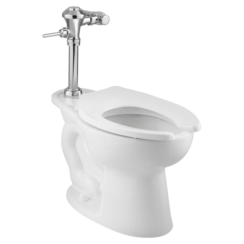 Manual Flush Valve Polished Chrome E871185