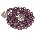 Tie Down Chain Assembly Q3587