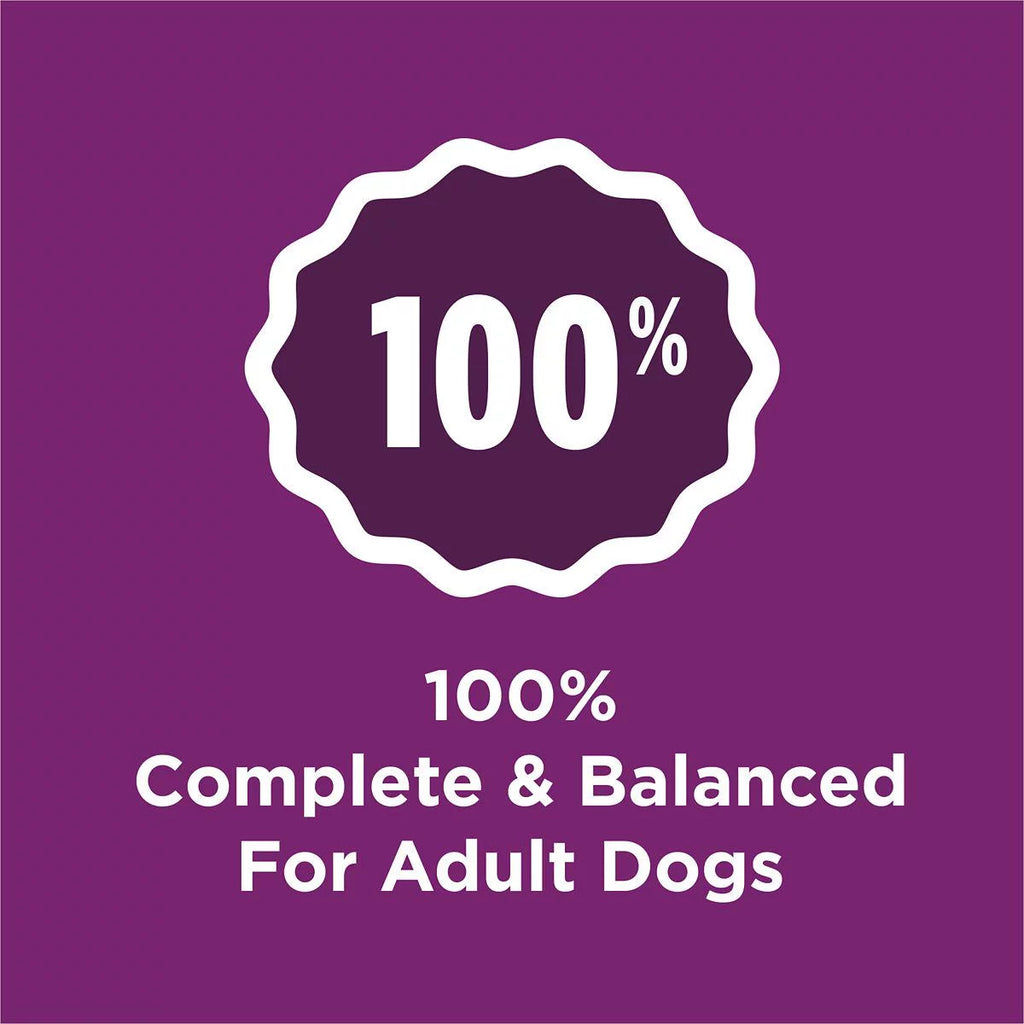 Complete Adult Dry Dog Food With Lamb Flavor 44 lb N9724