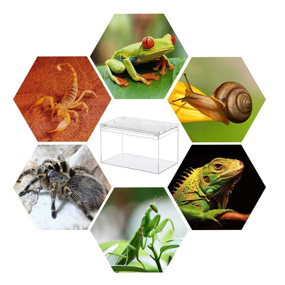 10x6x6 Inch Acrylic Reptile Terrarium N802