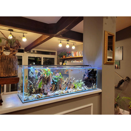 11 Gallon Clear Glass Bookshelf Aquarium N615560