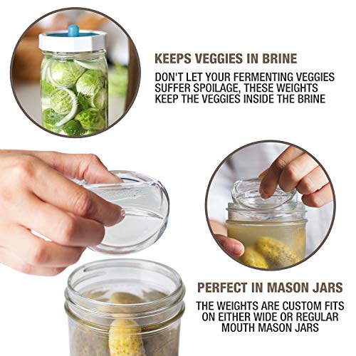 Glass Fermenting Weights Set Y26938