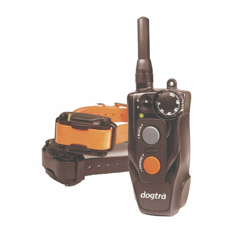 Remote Training Collar 2-Dog T5587