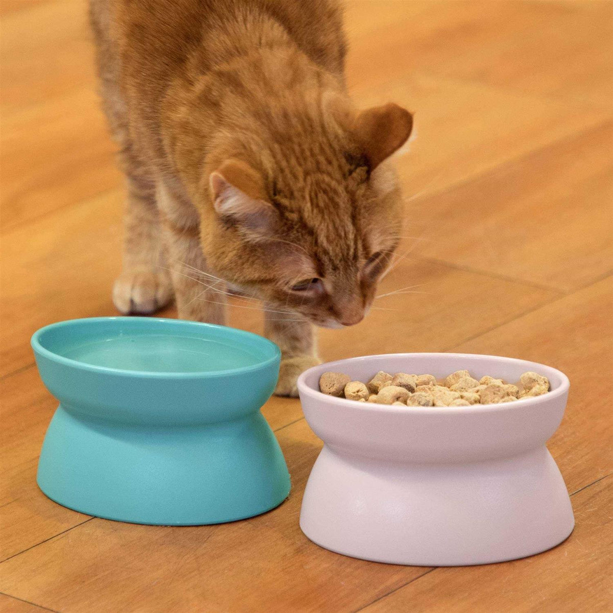 Raised Cat Food Bowl R139