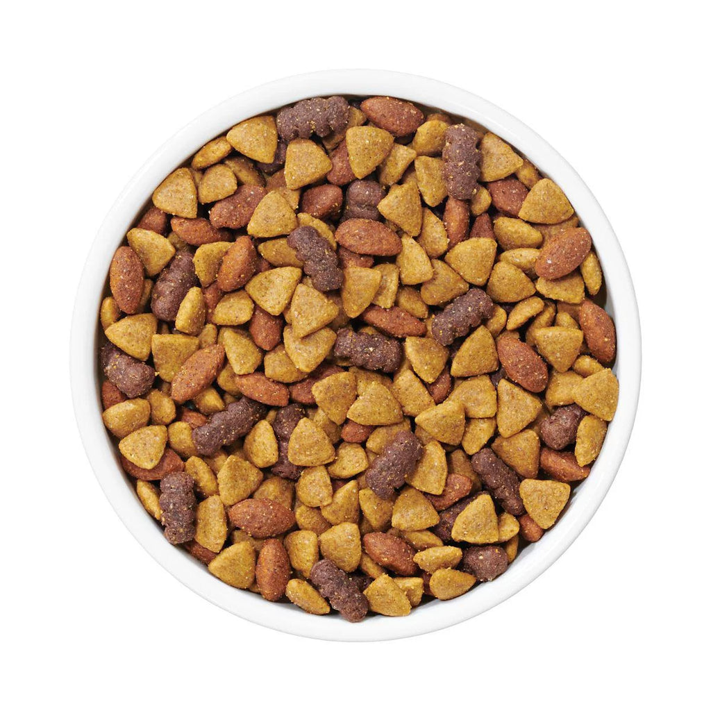 Complete Adult Dry Dog Food With Lamb Flavor 44 lb N9724