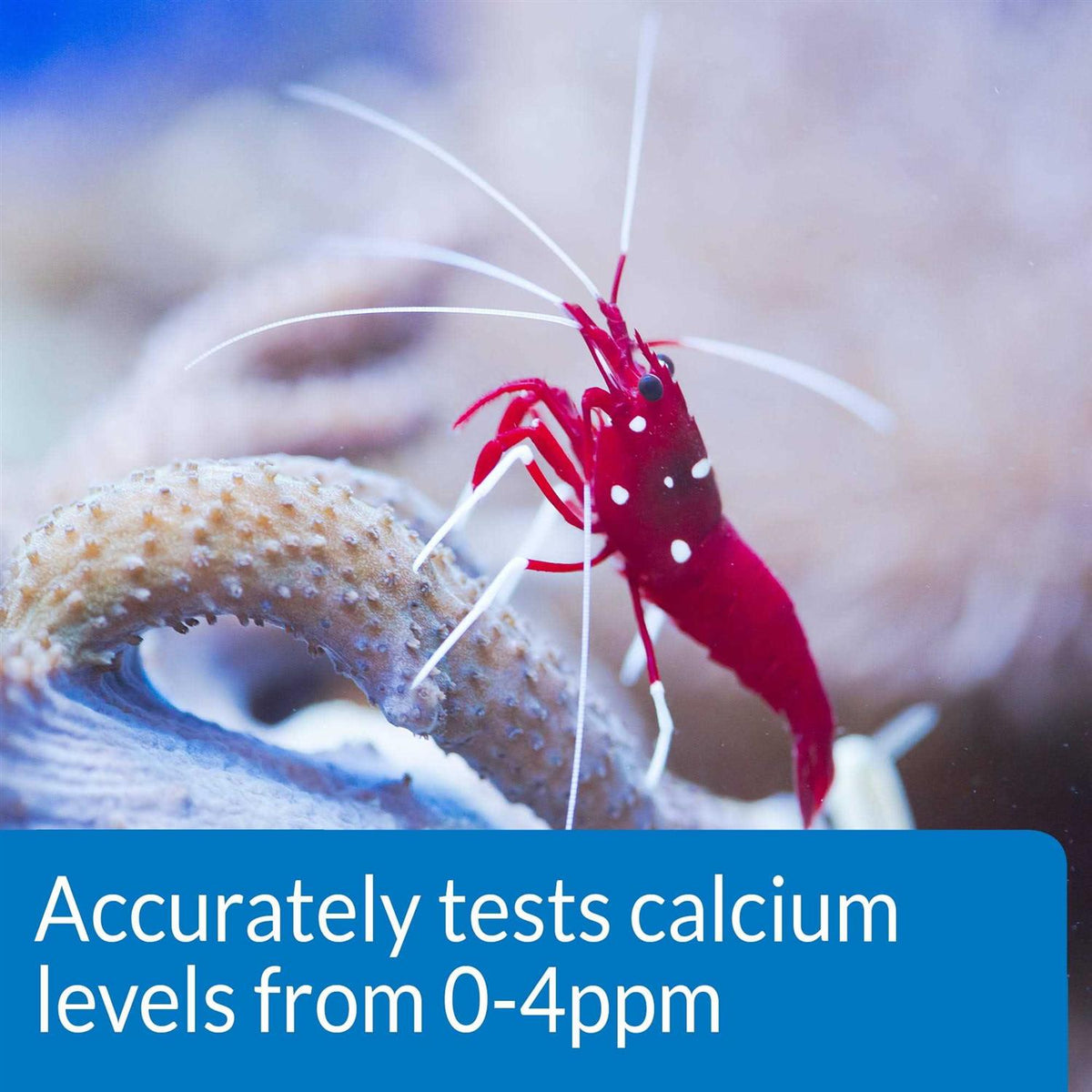 Calcium Test Kit F323944