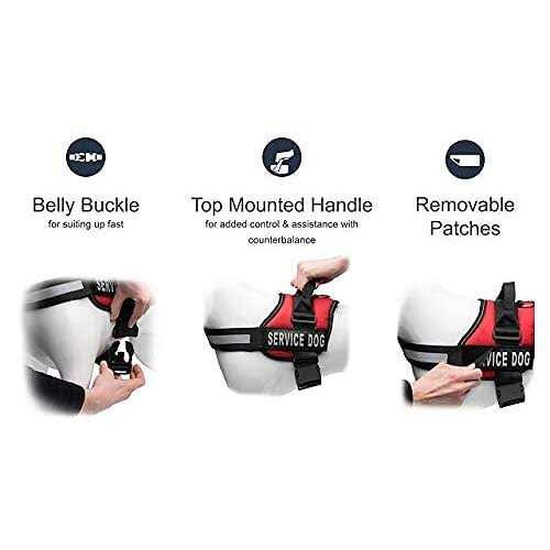 Service Dog Vest with Hook and Loop Straps and Detachable Backpacks in 7 Sizes Q788