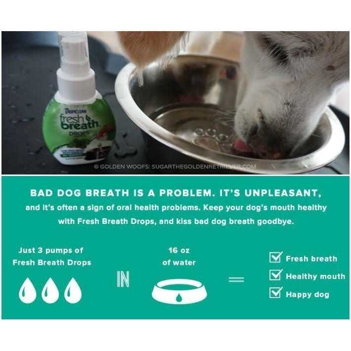 Fresh Breath Drops L252281