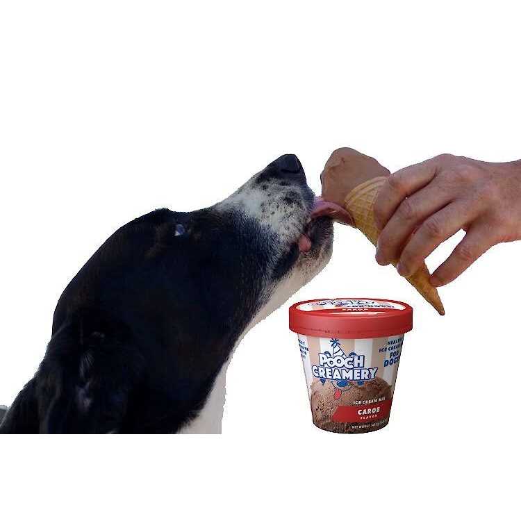 Ice Cream Mix Dog Treats G2588