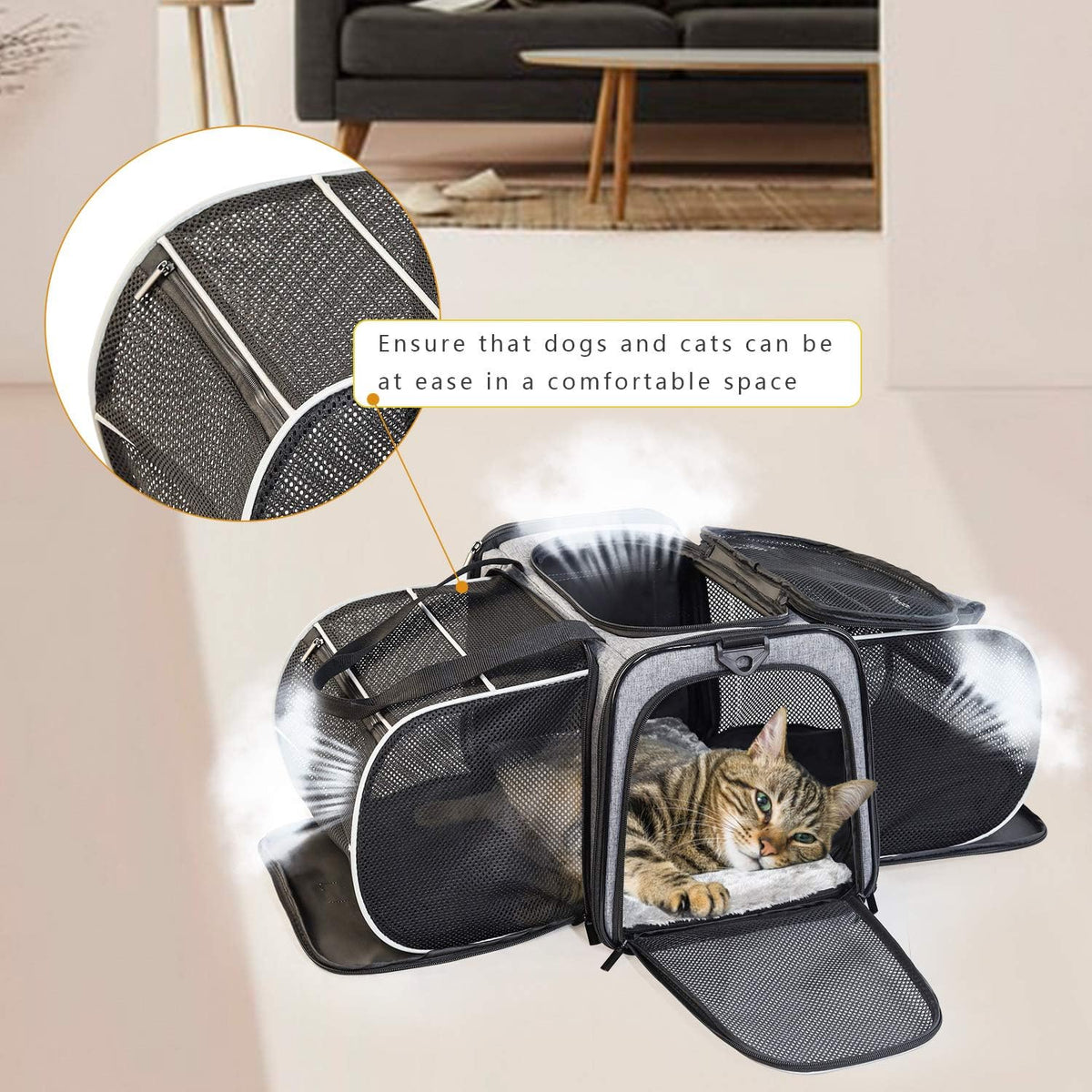 Airline Approved Soft Sided Expandable Collapsible Pet Carrier O6479