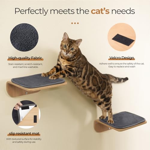 Cat Wall Shelves and Perch with Scratching Cushion T58285