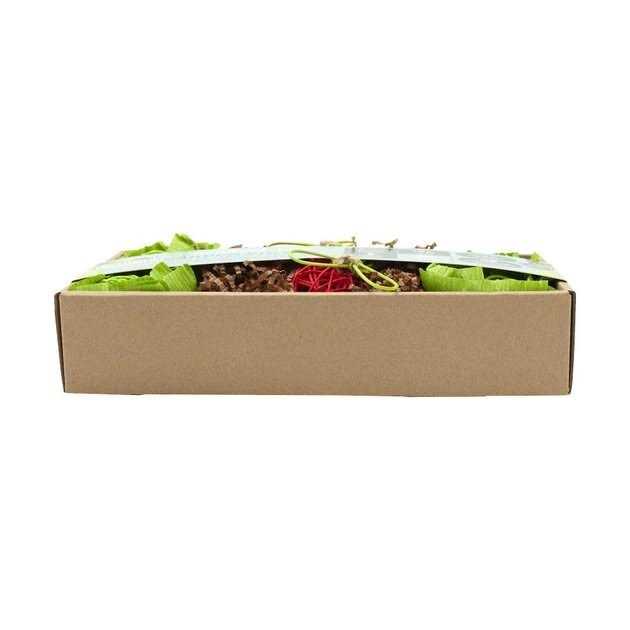 Garden Dig Box L357