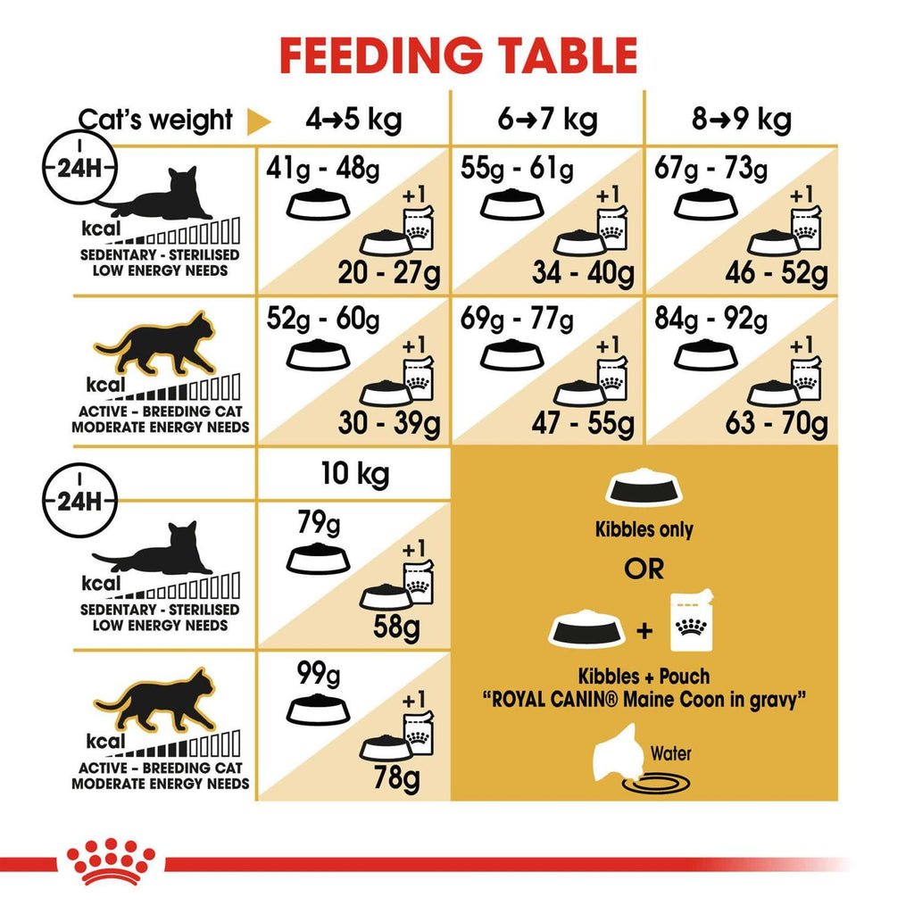 Maine Coon Dry Cat Food S189393