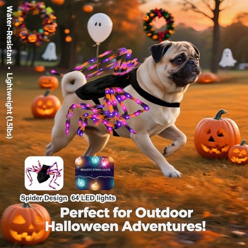 LED Spider Dog Halloween Costume with Multicolor Lights E571