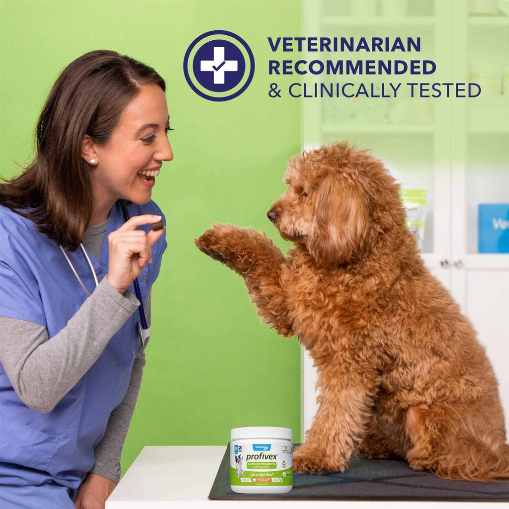 Probiotic Powder for Dogs & Cats H227