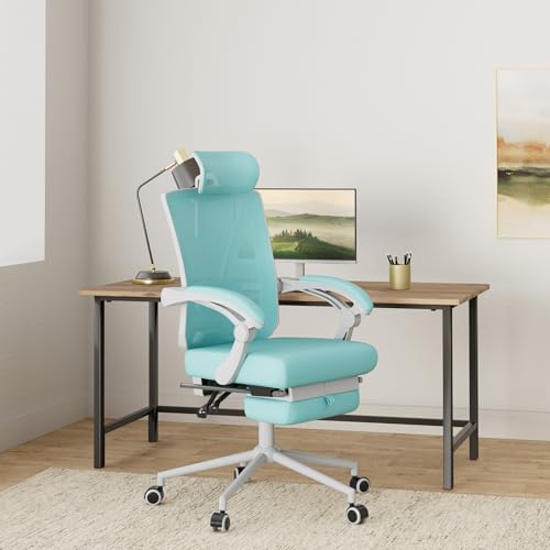 Ergonomic Office Chair with Footrest and Adjustable Lumbar Support V77411