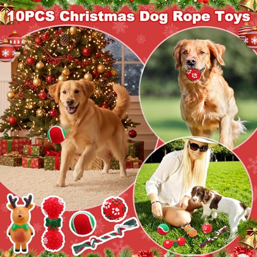 11 Pcs Christmas Catnip Cat Toy Gift Set with Santa Snowman Plush Balls Crinkle Mice K341