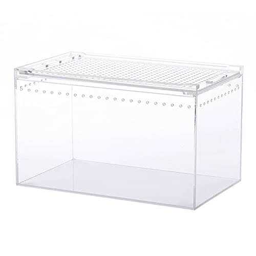 10x6x6 Inch Acrylic Reptile Terrarium N802