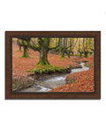 Framed Photograph Print W970