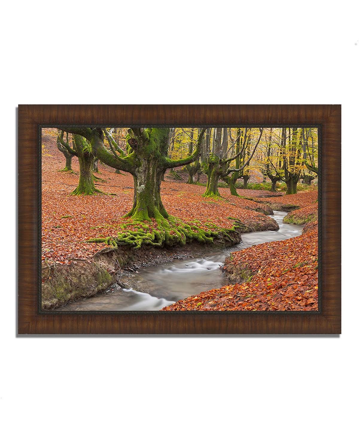 Framed Photograph Print W970