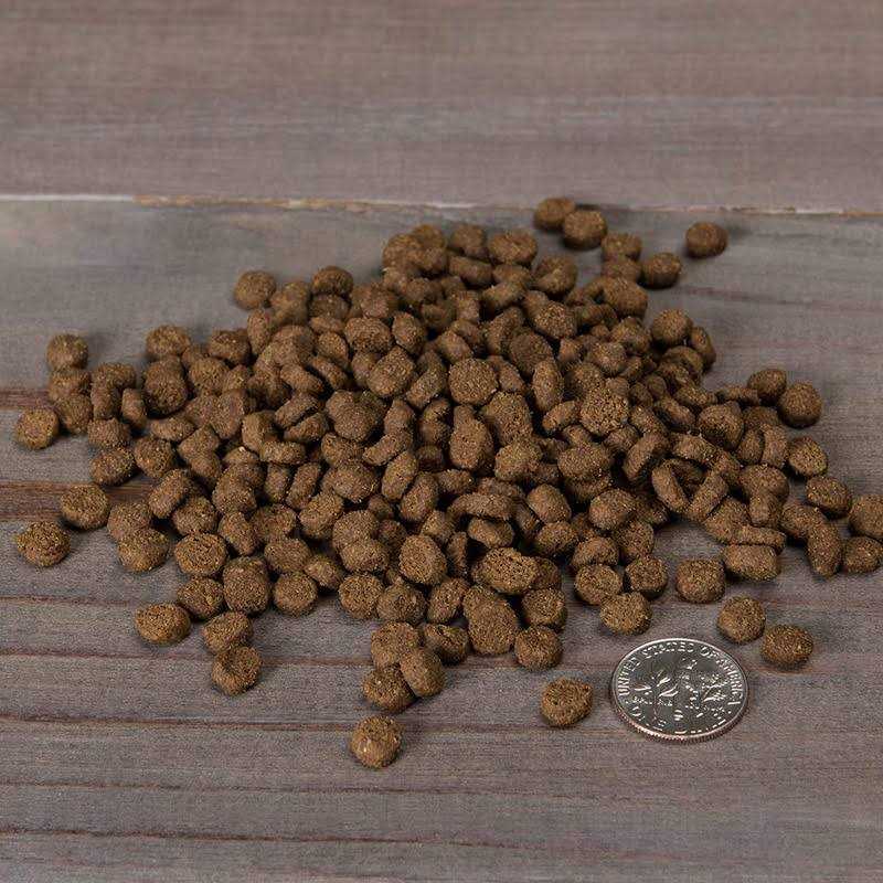Grain Free Chicken & Cod Dry Cat & Kitten Food J184