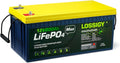 12V 200Ah LiFePO4 Lithium Battery with 100A BMS T586378