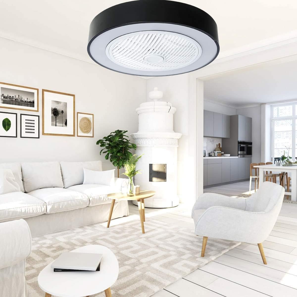 22.5 Ceiling Fan with Light U9558