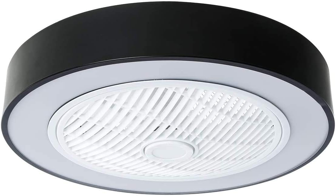 22.5 Ceiling Fan with Light U9558
