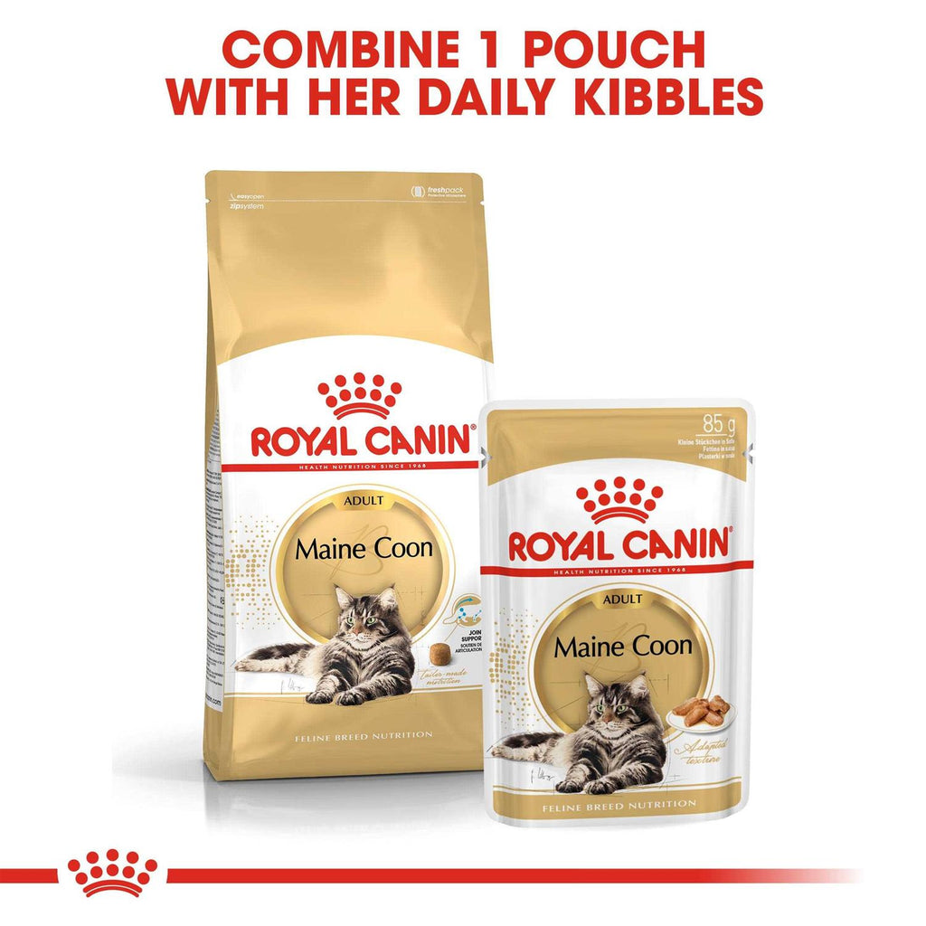 Maine Coon Dry Cat Food S189393