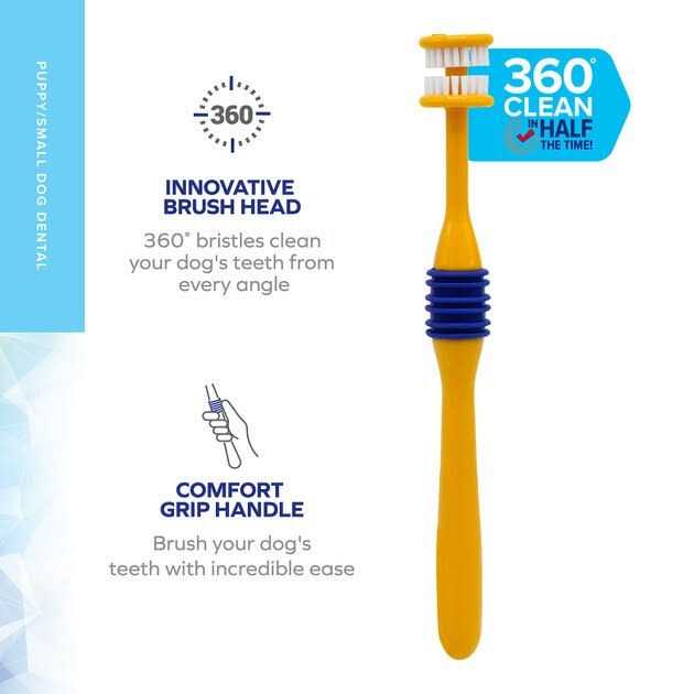 Fresh Spectrum 360 Degree Toothbrush W606135