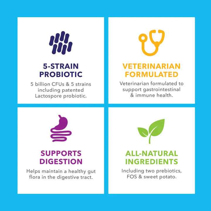 Probiotic Powder for Dogs & Cats H227